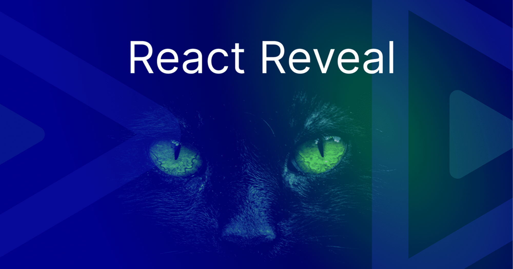 Doing Animations with React Reveal