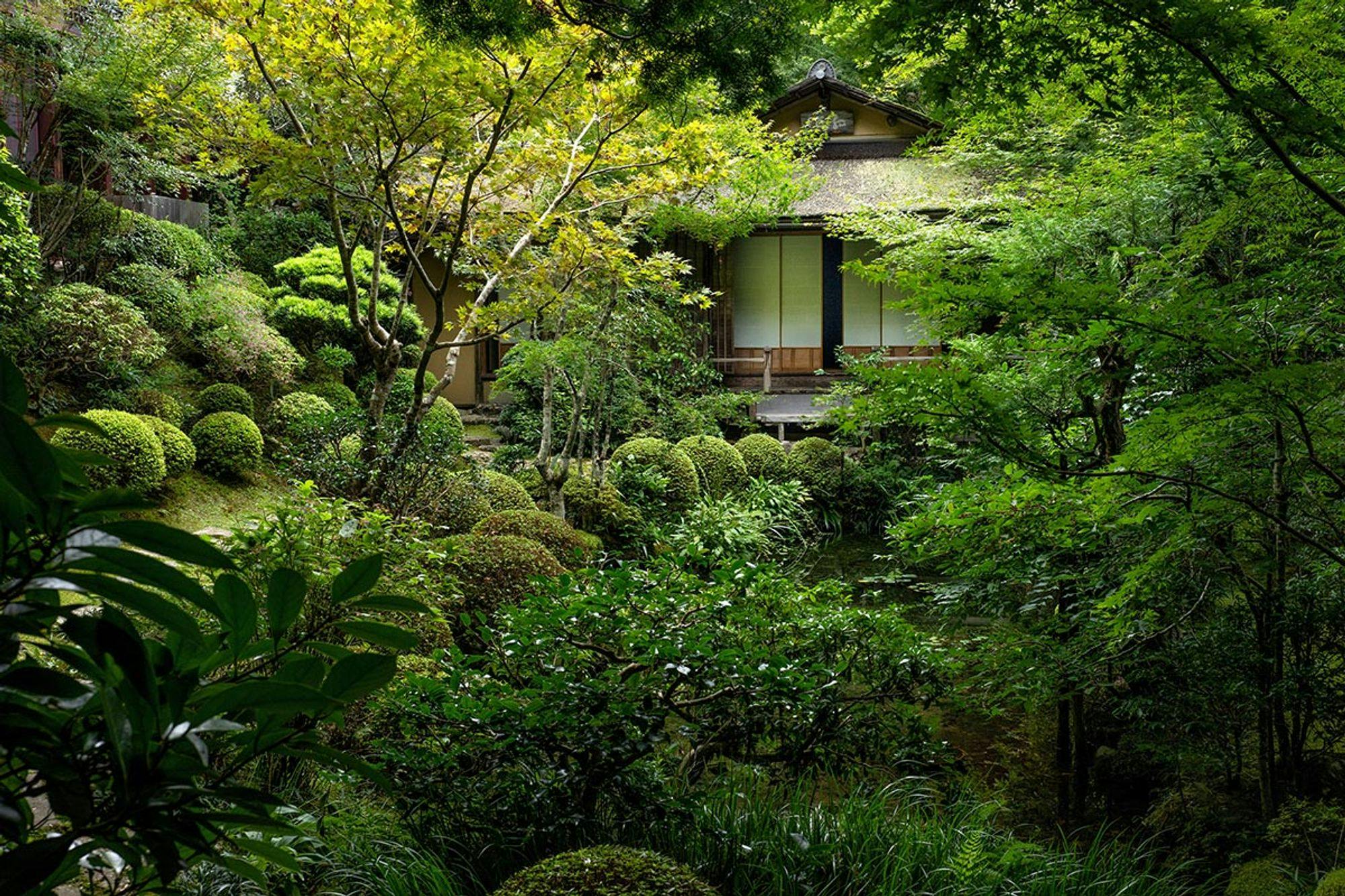 Japanese Garden — Relaxing Ambience Player